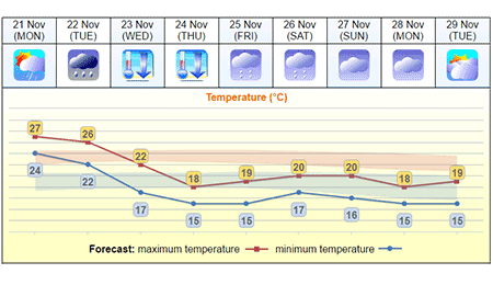 香港に冬到来 今週の最低気温は15度