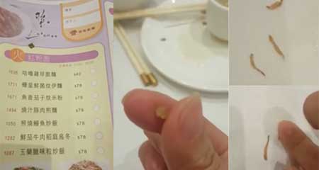 プラスチック偽米