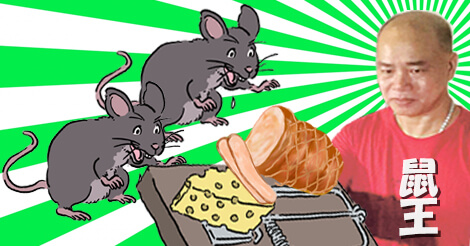 香港市民が中国から広州鼠王を招きネズミ駆除を強化
