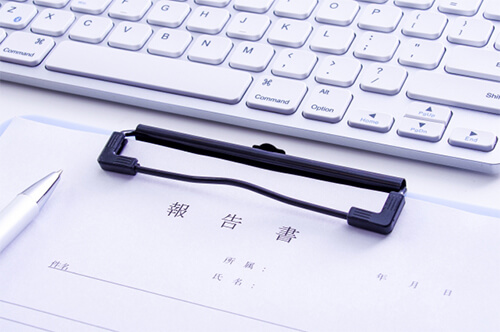 年次報告書（Annual Return）